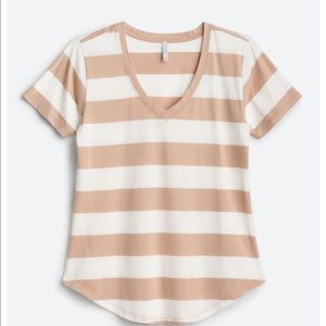 Z Supply Tamika V Neck Knit top